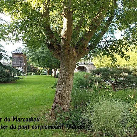 Studio Tarbes Marcadieu מראה חיצוני תמונה